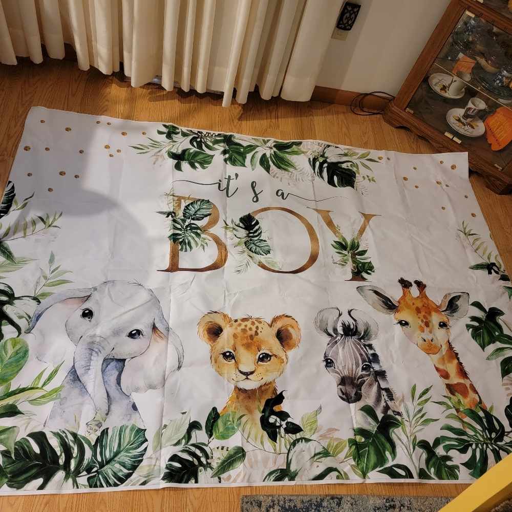 It's a boy backdrop